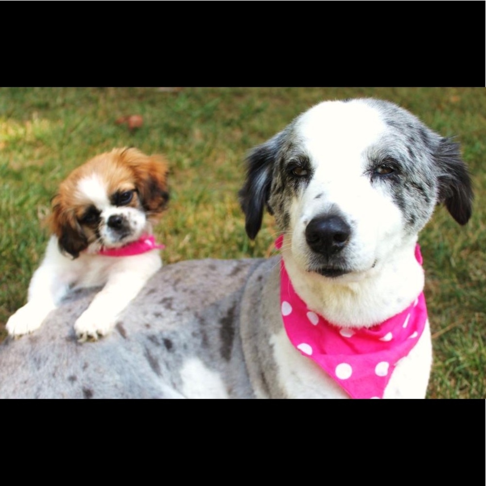 😇 😇 😇 😇 😇 😇